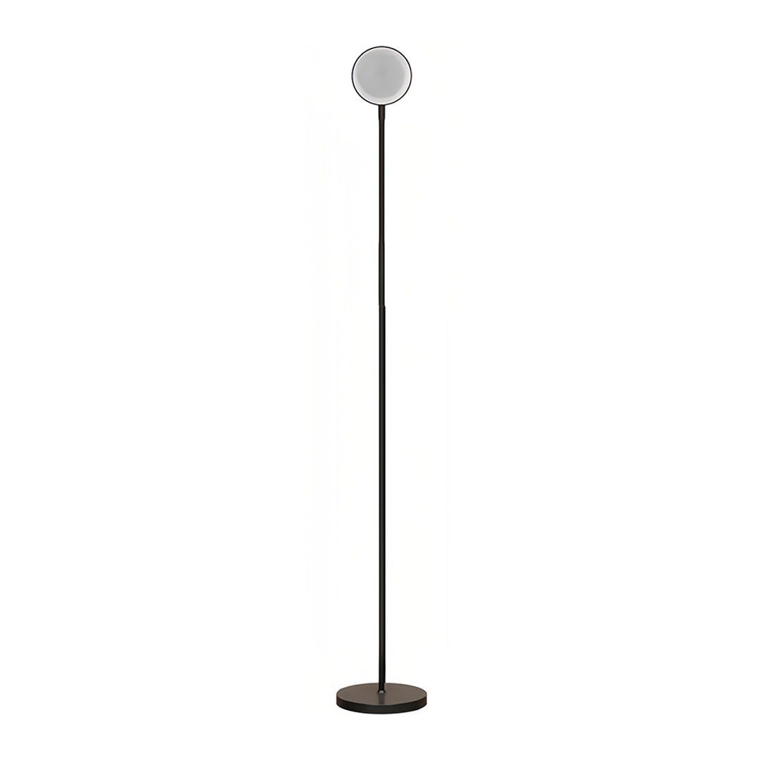 Luminara | Modern Adjustable Black Floor Lamp for Living Room Lighting 6