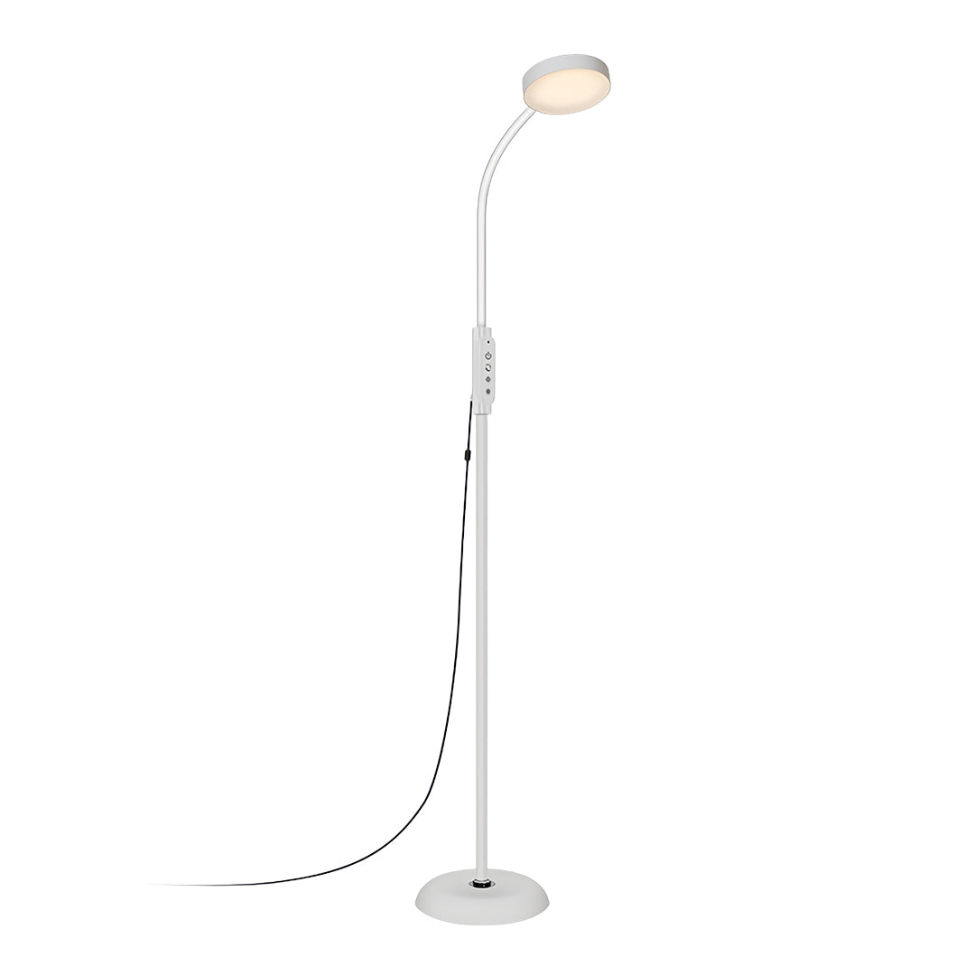Luminara | Modern Black Iron Standing Floor Lamp with Adjustable LED Light 7