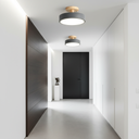 Luminara | Modern Sleek LED Flush Mount Ceiling Light Fixture